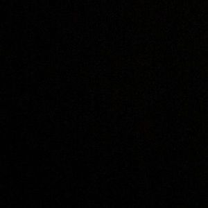 Meet your Posher, Lyla